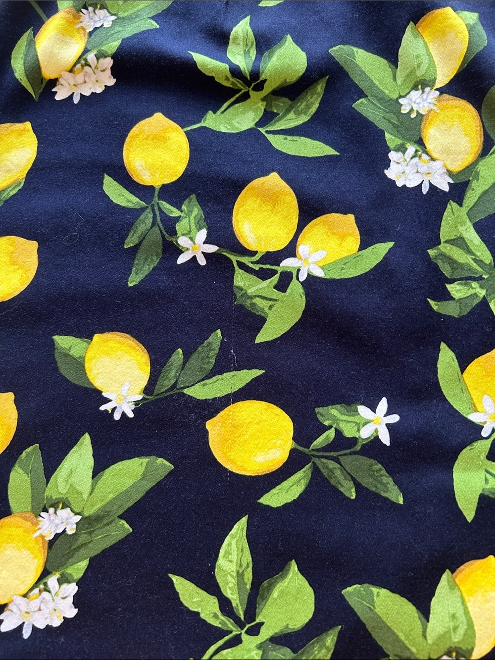 Chetta B Sleeveless Lemon
Print Dress Navy Blue White
Blossoms Size 8 - Picture 10 of 10
